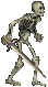 Creature Skeleton.gif