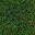 Terrain Grass.png