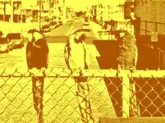 Simulated image as displayed using Tandy  640 × 200 mode with 2 redefinable colors