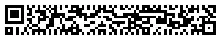 Rectangular Micro QR Code (rMQR Code) version R11x77