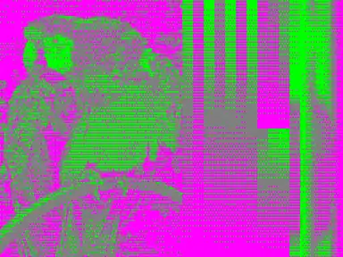 High Resolution 512x192 (Magenta & Green palette)